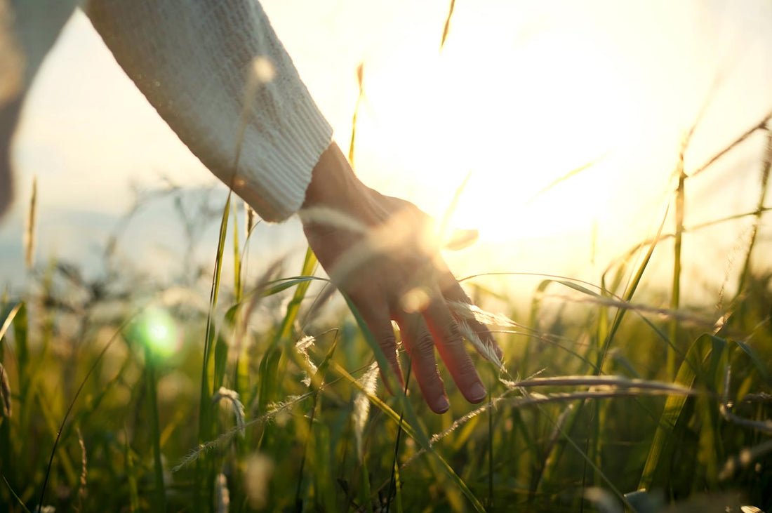 G&V | Venture Brands Agency | A woman walking through a field of grass