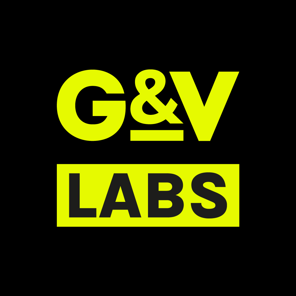 G&V | Venture Brands Agency | G&V LABS Logo