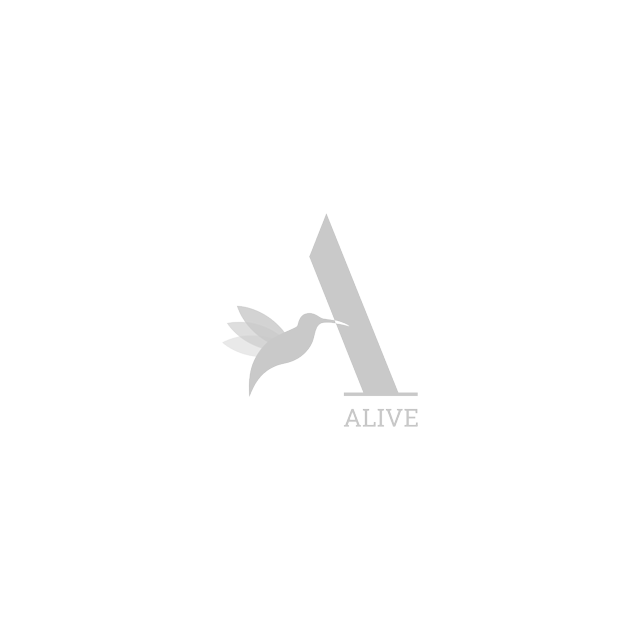 G&V Venture Brands Agency | Brand Partners with Alive Comms