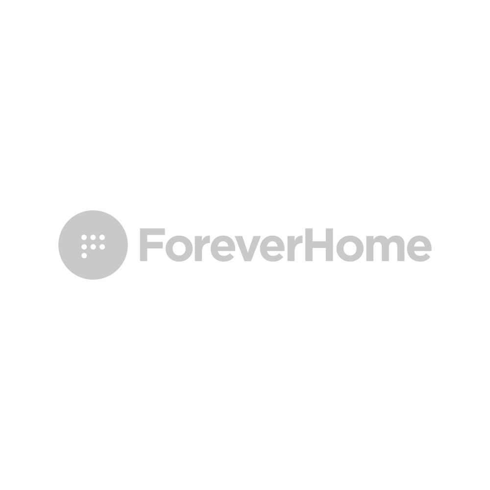 G&V Venture Brands Agency | Venture Partners with ForeverHome
