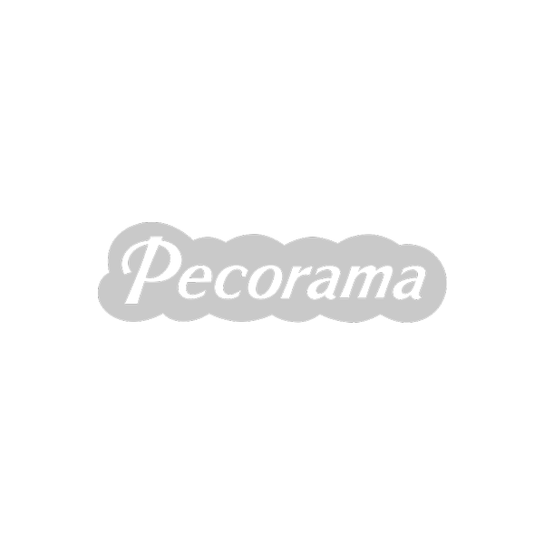 G&V Venture Brands Agency | Brand Partners with Pecorama