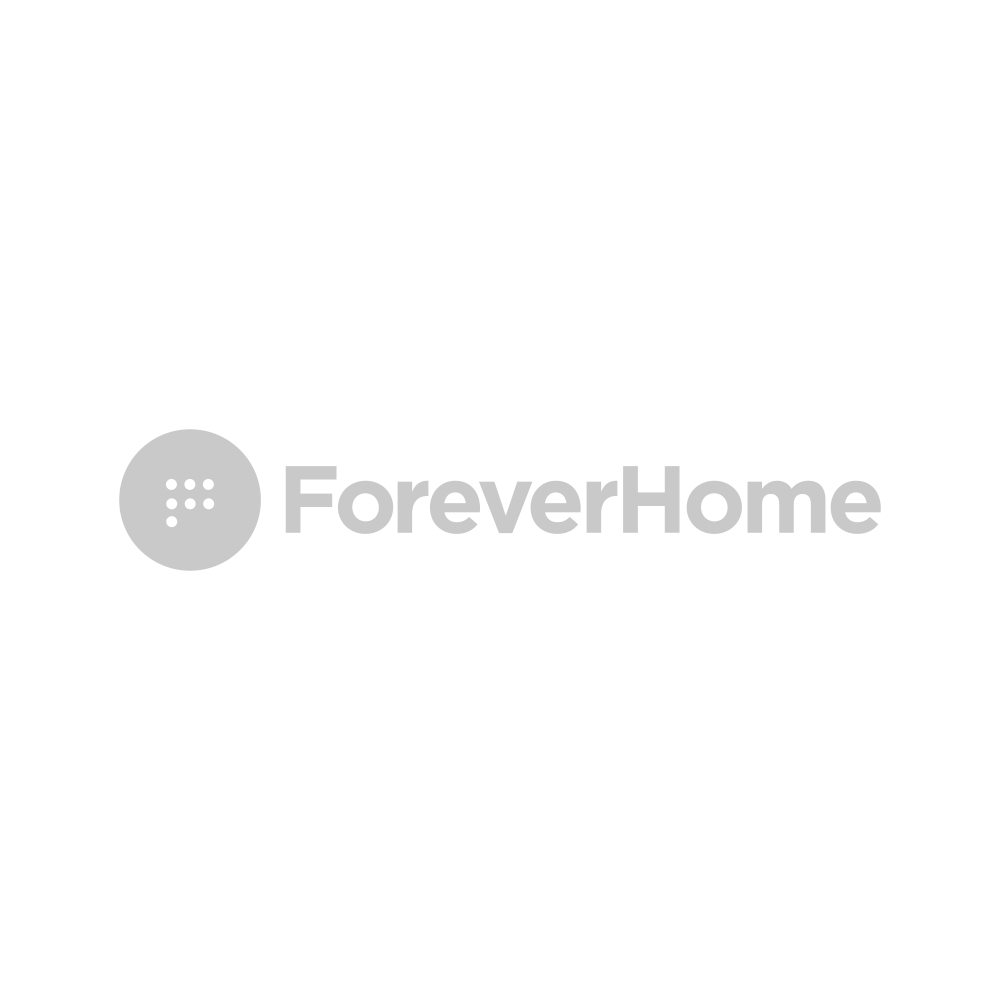 ForeverHome | Brand Partner of Goram & Vincent | eCommerce Growth Agency, Bristol