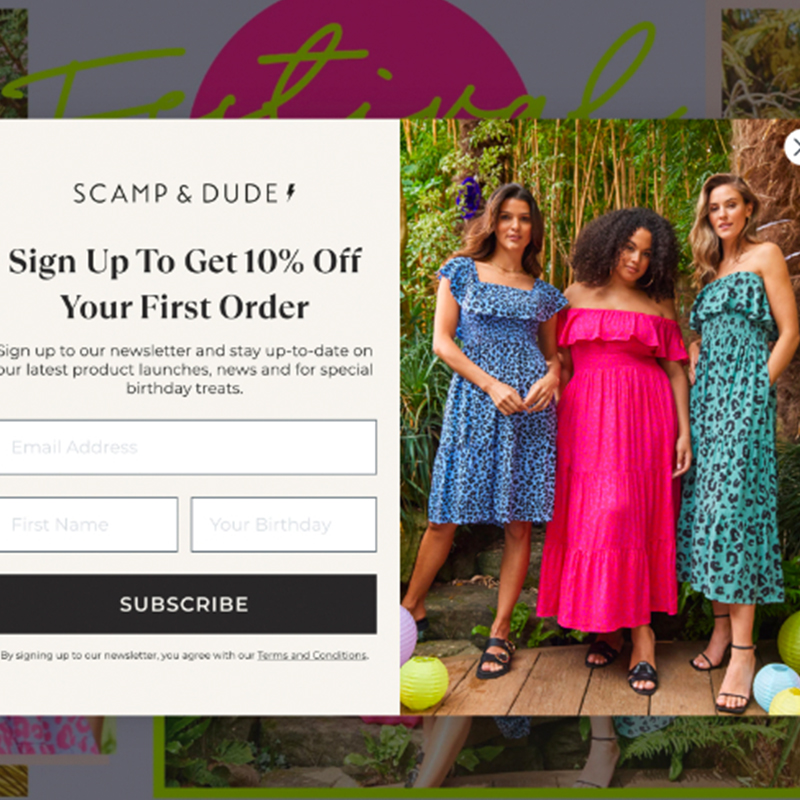 Scamp & Dude Email Marketing Popup